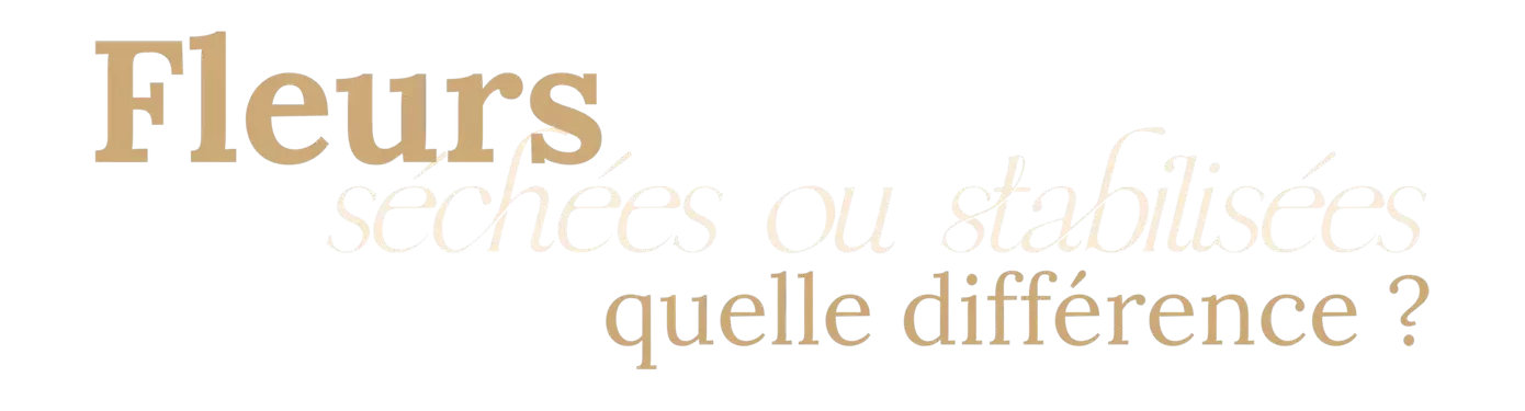 La Petite fleureuse - section-3-Fleurs-séchées-stabilisées