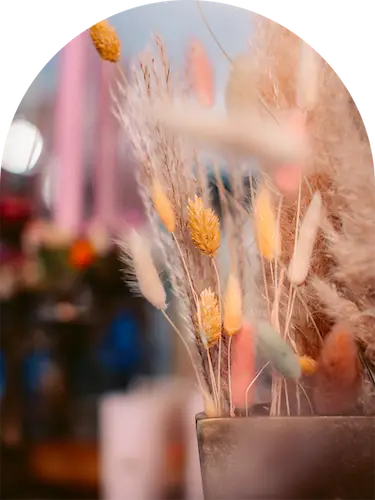 La Petite fleur euse-section4-Abonnements