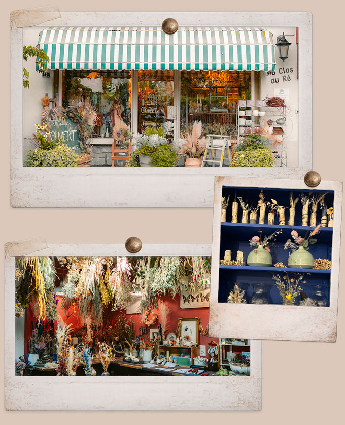 La-Petite-fleureuse-Contact-Boutique-Mézières