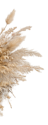 La-Petite-fleureuse-Contact-fleurs-haut-gauche